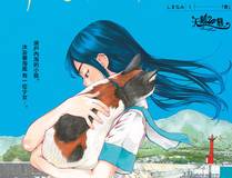 你越界了海报